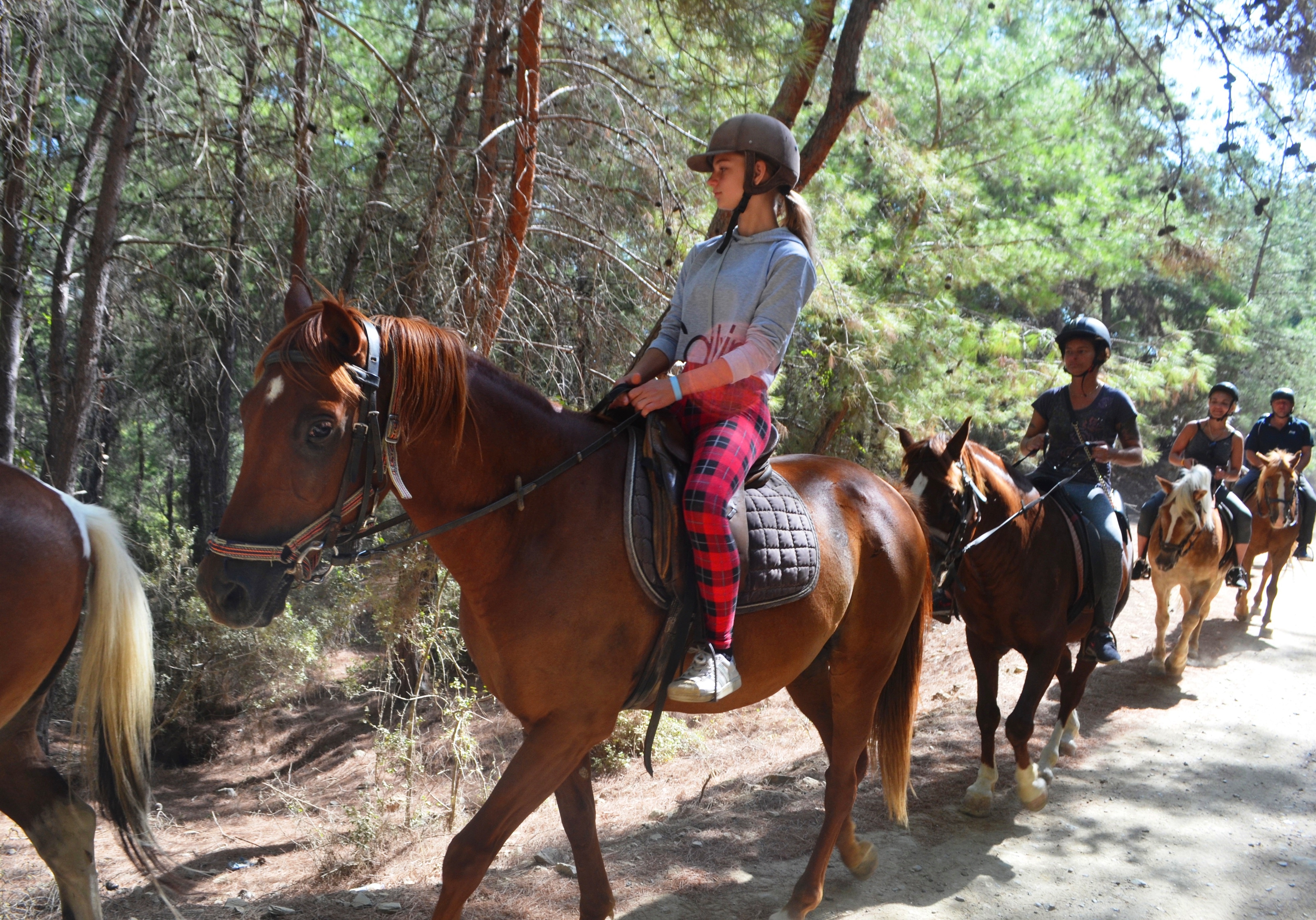 Antalya Horse Riding Tour